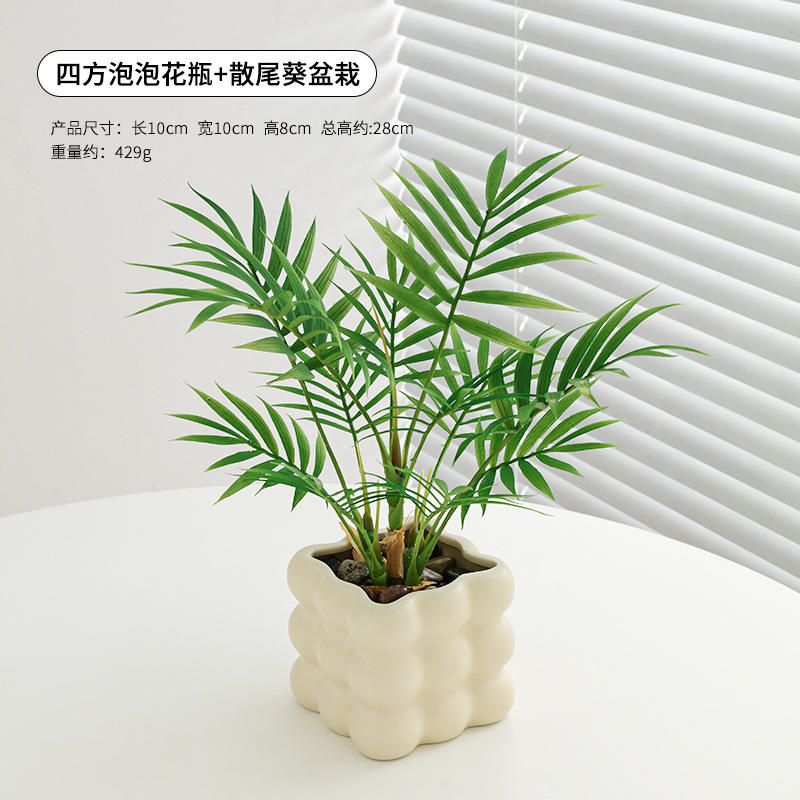 แจกันทรงสี่เหลี่ยม, ต้นปาล์มอะเรก้า