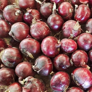 Légumes <span class=keywords><strong>frais</strong></span> en vrac oignon rouge <span class=keywords><strong>frais</strong></span> 50lb - Product Image 5
