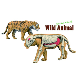 Kit de jouets scientifiques bricolage Offre Spéciale pour tous Puzzle 3D ensemble d'animaux sauvages avec organes d'anatomie en plastique <span class=keywords><strong>jeu</strong></span> de squelette pour enfants - Product Image 6