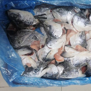 <span class=keywords><strong>Salmone</strong></span> atlantico teste di <span class=keywords><strong>salmone</strong></span> per la vendita - Product Image 5