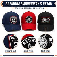 Patchs brodés pour l'athlétisme, tête de loup mascotte d'équipe, numéro, broderie haute densité, logo personnalisé, patch thermocollant pour casquette de sport