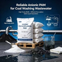 Poliacrilamida de Iones Negativos PAM CAS 9003-05-8 con una Pureza del 99.8% Utilizada para el Lavado de Carbón y el Tratamiento de Aguas Residuales