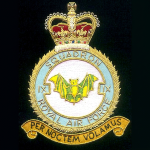 RAF SQD High Quality Lace Embroidered Patch <b>Sew</b>-On Fabric Badge Circular Luxury Design for Garment - Product Image 1