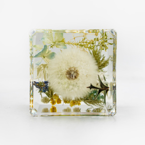 Factory <strong>Customized</strong> Artistic <strong>Resin</strong> Epoxy Crystal <strong>Clear</strong> Real Dandelion <strong>Paperweight</strong> Cubic Figurine Flower <strong>Paperweight</strong> - Product Image 2