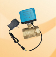 Válvula de Bola de Acero Inoxidable con Control Remoto, Funciona con Voltaje AC220V DC24V /12V