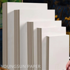 Papier Bristol blanc de qualité supérieure, couché d'un seul côté, 210-400 g/m², couleur ivoire, pour cadre photo, fabriqué à partir de matériaux recyclés - Product Image 6