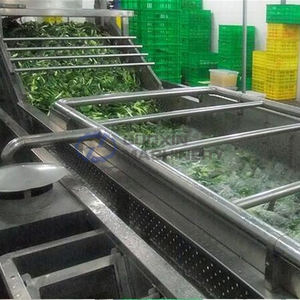 Cinta transportadora de malla para lavar frutas y verduras sandía fecha melocotón albaricoque cebolla máquina de limpieza de burbujas - Product Image 6