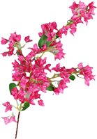 Fleurs en soie artificielles Bougainvillier, fleurs de prune triangulaires pour la décoration de mariage