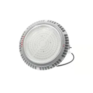 אור LED חסין פיצוץ אור הצפה LED אורות תעשייתיים חסיני פיצוץ