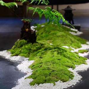 Tapis d'herbe artificielle, <span class=keywords><strong>fausse</strong></span> <span class=keywords><strong>plante</strong></span> <span class=keywords><strong>murale</strong></span> en mousse chinoise, <span class=keywords><strong>plante</strong></span> artificielle esthétique, succulente, bonsaï, herbe artificielle florale, gazon artificiel - Product Image 5