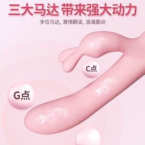 Ava <b>Heated</b> Rabbit Vibrator Pink <b>USB</b> Charging Clitoral G Spot Stimulator Adult Use - Product Image 3