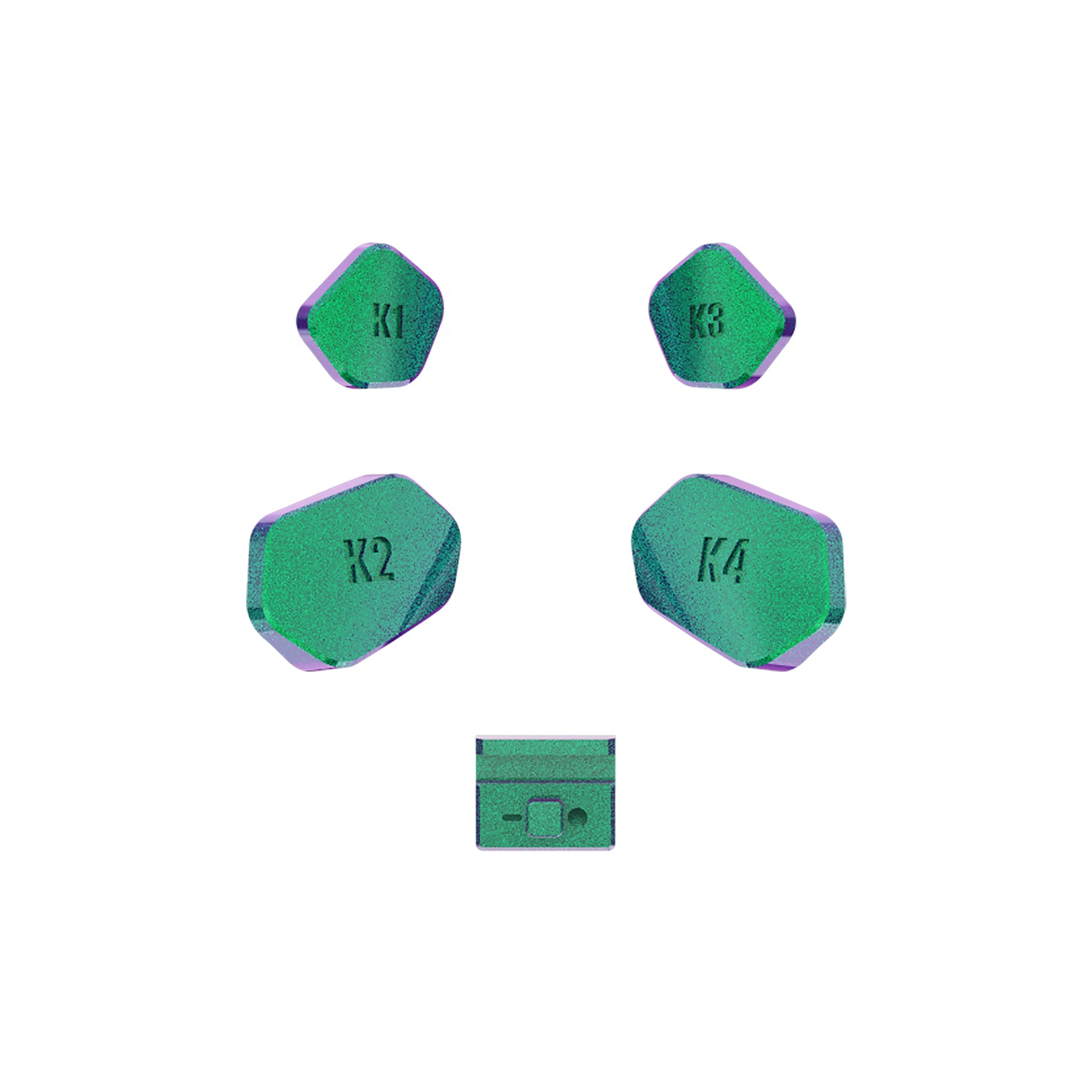 Caméléon vert violet DX3P3002WS