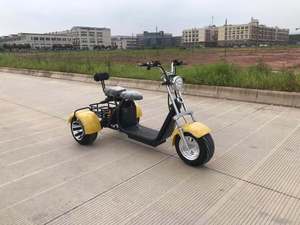 <span class=keywords><strong>รถ</strong></span>สามล้อไฟฟ้า Citycoco ได้รับการรับรองมาตรฐาน COC EEC 60V กำลังไฟ >250 วัตต์ แบบเปิดประทุน สำหรับ 2 ที่นั่ง - Product Image 6