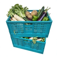 Caisse en PP pliable et empilable de qualité commerciale, bleue, empilable, vente en gros, caisses en plastique ventilées pour fruits et légumes