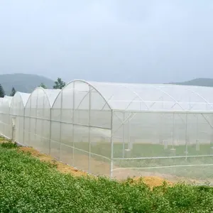 شبكة حماية من الحشرات مضادة للحدائق والزرع والبيوت الزجاجية والحدائق الزراعية بأحجام 135gsm و50 شبكة هي الأفضل مبيعًا