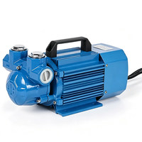 Pompe de transfert d'essence en fonte antidéflagrante à haut débit 12V/24V/220V, distributeur de carburant monté sur véhicule, pompe de transfert d'huile, garantie 1 an
