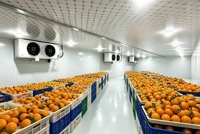Koelopslag voor fruit- en groentehuisvesting, mobiel, draagbaar, Dubai, eieren, mobiele minikoelcel