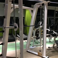 Machine Smith Verticale Commerciale en Métal à Guidage Linéaire pour Entraînement de Force Complet du Corps et Faisceau Triceps en Salle de Sport