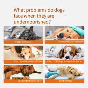 סיטונאי מחמד תזונה קרם מותאם אישית כלב תזונה ספציפי תוספי תזונה מוצרים בריאות לחיות מחמד - Product Image 5