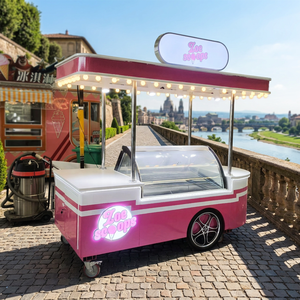 For Sale Mobile Ice Cream Cart Ideal for Outdoor Street Sales Compact Concession Food Trailer - Product Image 1