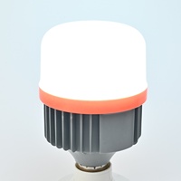 Ampoule LED d'urgence tactile à économie d'énergie 60W en plastique pour hôtel et maison avec autonomie de 7 à 8 heures E27