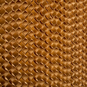 ระบบทำความเย็นแบบระเหยอากาศพร้อมแผ่นทำความเย็นและม่านน้ำสำหรับโรงเรือนเชิงพาณิชย์โครงอะลูมิเนียม ปี 2025 ความเร็วรอบ 4000 รอบต่อนาที - Product Image 6