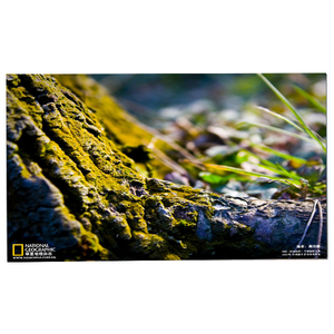 LM238WF5-SSG4 23.8 inch 1920*1080 giá thấp LCD màn hình hiển thị - Product Image 1