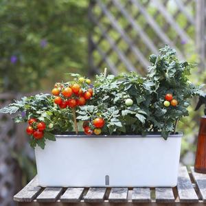 Productos de Jardinería al por Mayor, Macetas Grandes con Autorriego, Macetas de Plástico Blancas para Verduras, Plantas de Interior, Macetas para Flores - Product Image 6