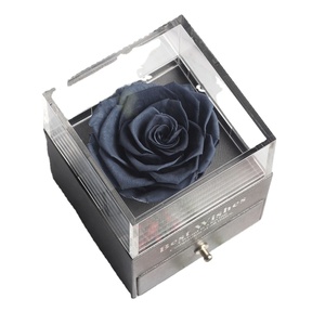 <span class=keywords><strong>La</strong></span> <span class=keywords><strong>Belle</strong></span> <span class=keywords><strong>et</strong></span> <span class=keywords><strong>la</strong></span> Bête <span class=keywords><strong>Rose</strong></span> <span class=keywords><strong>Rouge</strong></span> avec Pétales Tombés dans un Dôme de Verre Anniversaire Noël Saint Valentin Cadeau du Nouvel An Base en Bois - Product Image 4