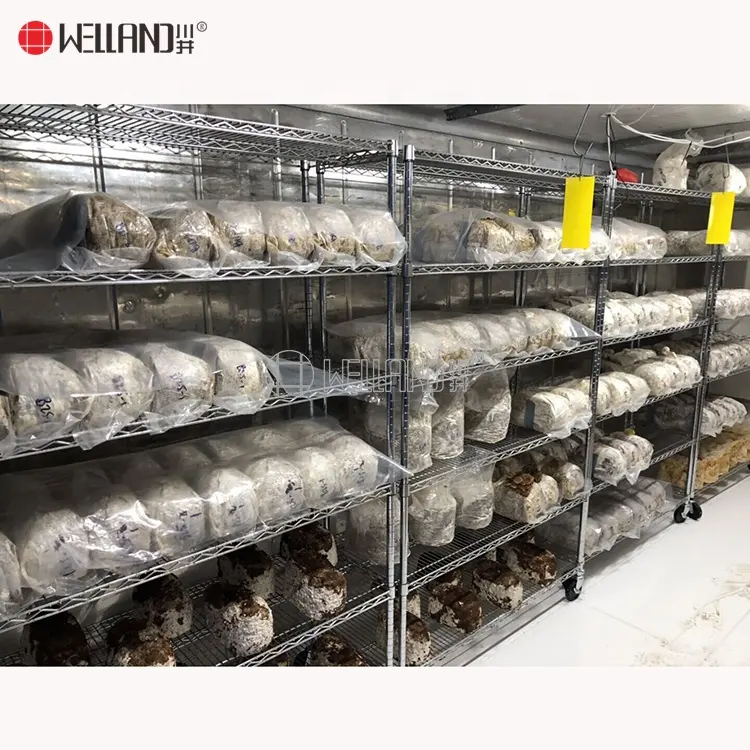 Wide Using Shelving 6 Tiers Chrome Mushroom Growing Shelves