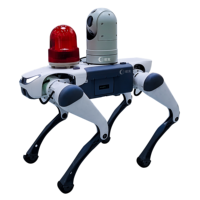 Robot quadrupède biomimétique personnalisé pour l'aéroport Métro à grande vitesse Robot de sécurité chien de patrouille de suivi par reconnaissance faciale