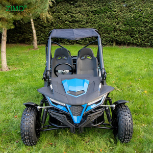 2025 điện/kéo 4 đột quỵ 150cc 200cc dành cho người lớn Xăng đi karts Racing Dune Buggy - Product Image 6