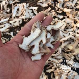 Jengibre Seco Orgánico en Rodajas de Alta Calidad a Precio de Mayoreo, Producto Agrícola Conservado de Perú - Product Image 2