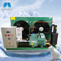 Máquina de Cubitos de Hielo para Congelador Evaporador de 5 Toneladas HSN8571-125-40P con Compresores Bitzer