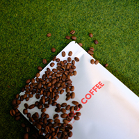 Sachet de café compostable composite de 12 oz avec valve, impression personnalisée par gravure de sécurité et impression de logo pour emballage alimentaire