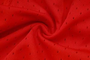 <span class=keywords><strong>Maillot</strong></span> de football à séchage rapide style thaïlandais de l'équipe nationale norvégienne saison 2027 - 100% polyester - <span class=keywords><strong>Maillot</strong></span> polyvalent - Personnalisable - Product Image 4