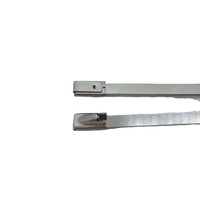 Unterschied liche Größe Ss 316 Edelstahl Kabelbinder Basis 7,9x450mm