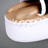 Cible de frappe personnalisée pour Taekwondo, équipement d'entraînement, cible pour les pieds, cible de boxe, double cible de frappe - Marque Wilon, Cuir Wolon