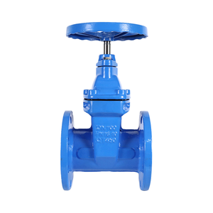 Válvula de Compuerta Manual de Hierro Fundido con Brida Nanhu DN50 para Aplicaciones de Agua, Temperatura Normal, ODM OEM, 24 Meses de Garantía, Estructura de Válvula - Product Image 1