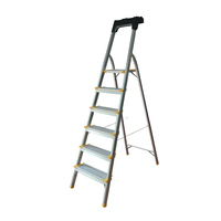 Échelle pliante moderne en aluminium à 6 marches de haute qualité avec plateau à outils en plastique supérieur