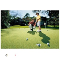Golf-Putting-Grün Padel-Kunstrasen für den kommerziellen Garten Kunstrasen Teppich RASEN G13