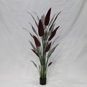 Pianta Artificiale Calathea <span class=keywords><strong>Majestica</strong></span> White Star Staccabile Realistica per Decorazione Interna di Casa, Ufficio e Hotel - Product Image 3