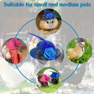 Frango Chapéus para Galinhas Pequenos Animais de Estimação Pássaro Engraçado Halloween Acessórios Feather <span class=keywords><strong>Top</strong></span> <span class=keywords><strong>Hat</strong></span> com Ajustável Elastic Chin Strap Rooster - Product Image 3