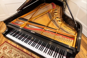 Pianos à queue Steinway A3 de qualité supérieure, 6'4'', en ébène satiné, d'occasion, 1921, rares, étirés - Product Image 6