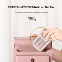 Speaker Audio Mini Portabel Retro dengan Baterai Internal, Tanpa Lampu LED, Pengisian Daya di Rumah, dan Slot Kartu
