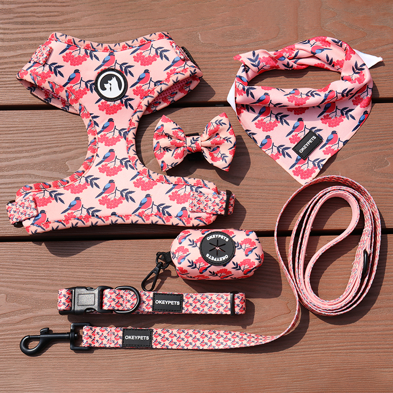 Okeypets Custom Luxe Puppy Leash Collar Verstelbare Pet Kak Tas Bandana Omkeerbare Ademende Neopreen Hond Harnas Sets