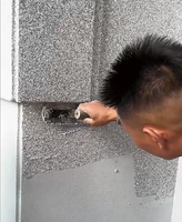 Peinture pour granit imperméable, anti-moisissure, résistante aux intempéries avec couche protectrice, revêtement anti-humidité pour mur extérieur et balcon