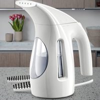 Défroisseur portable à main 700W 240ml Grande capacité Vapeur puissante qui pénètre en profondeur Élimine les plis pour les vêtements Maison Bureau