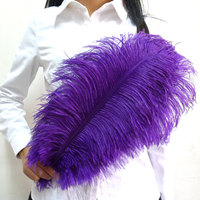 Plumes d'autruche fines teintes brutes de 45-50 cm, fournies par l'usine, en vrac pour les fêtes de carnaval et les décorations de mariage