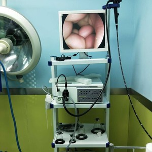 Meilleur système d'endoscopie vétérinaire avec moniteur et chariot pour utilisation en clinique vétérinaire - Product Image 5